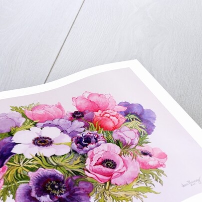 Anemones, 2001 by Joan Thewsey