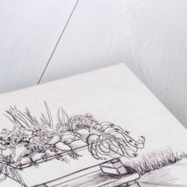 The Sink Garden, 2000 by Joan Thewsey