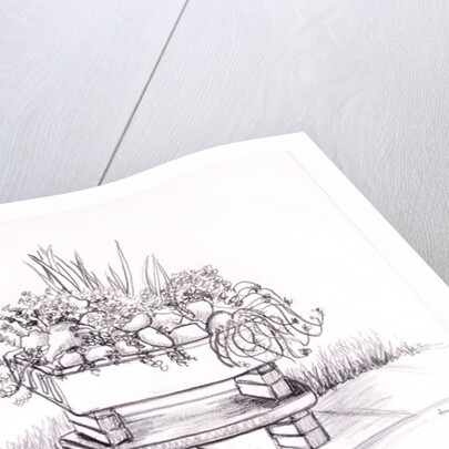 The Sink Garden, 2000 by Joan Thewsey