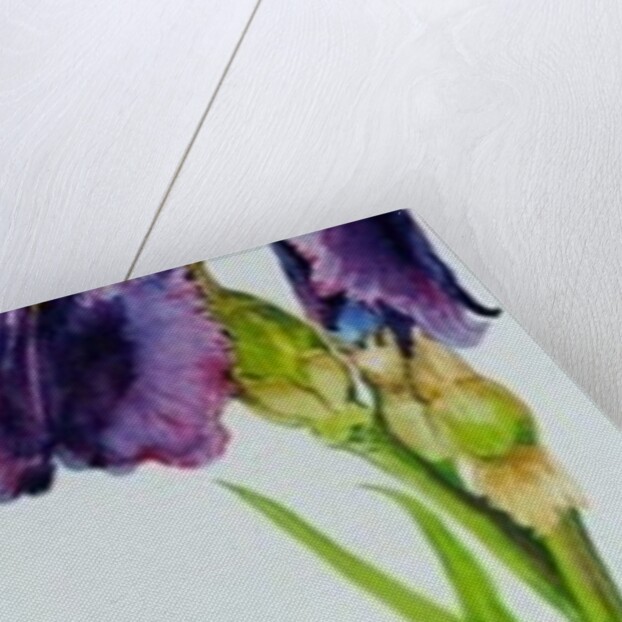 Iris with Three Buds, 2010 by Joan Thewsey