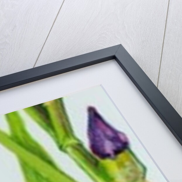 Iris with Three Buds, 2010 by Joan Thewsey