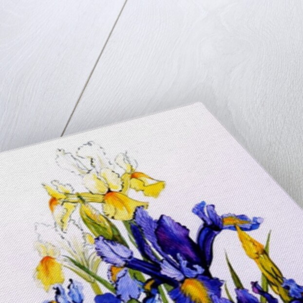 Three Purple and Two Yellow Iris with Buds, 2010 by Joan Thewsey
