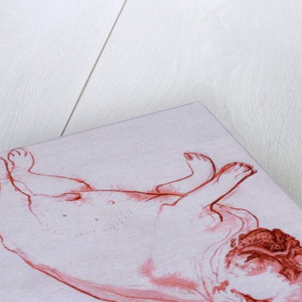 Hogarth Sleeping, 2005 by Joan Thewsey