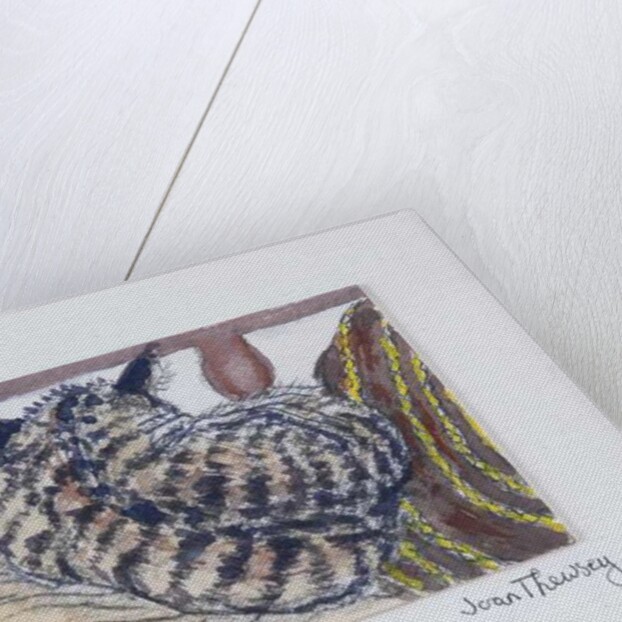 Custard the Kitten, 2005 by Joan Thewsey