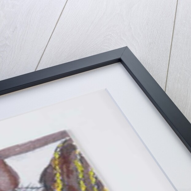 Custard the Kitten, 2005 by Joan Thewsey