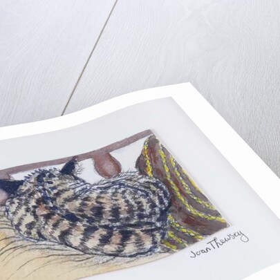 Custard the Kitten, 2005 by Joan Thewsey