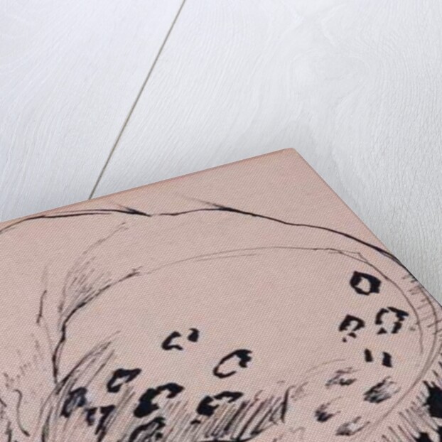 Sketch,Leopard,London Zoo, 2005 by Joan Thewsey