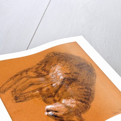 Sleeping Tabby Cat, 2005 by Joan Thewsey