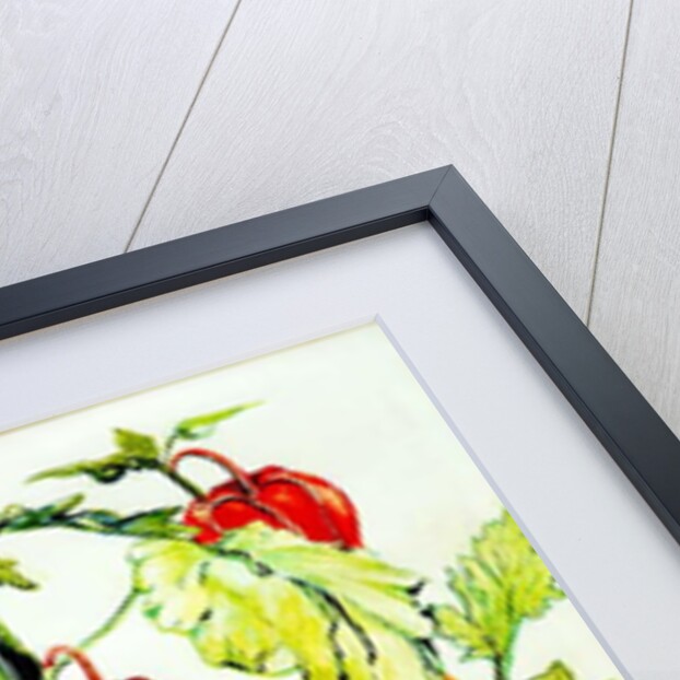 Chinese Lantern Spray, 2005 by Joan Thewsey