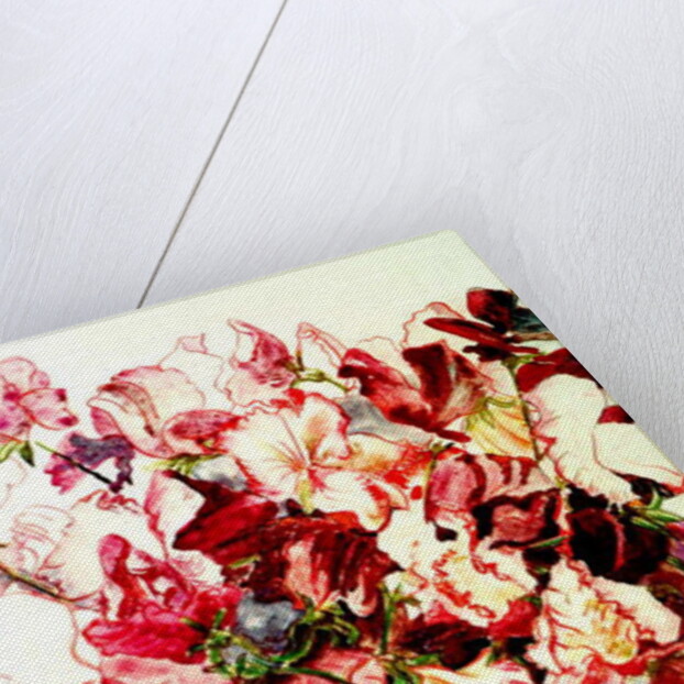 Sweet Peas, 2005 by Joan Thewsey