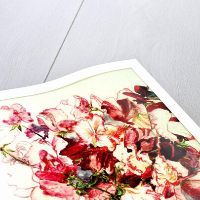 Sweet Peas, 2005 by Joan Thewsey