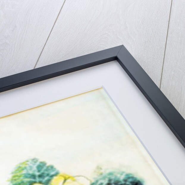 Primrose Pale Yellow, 2005 by Joan Thewsey