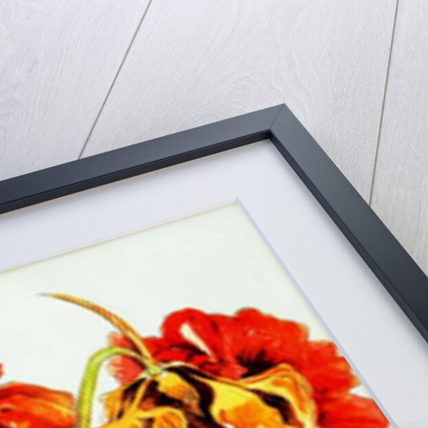 Nasturtiums, 2005 by Joan Thewsey