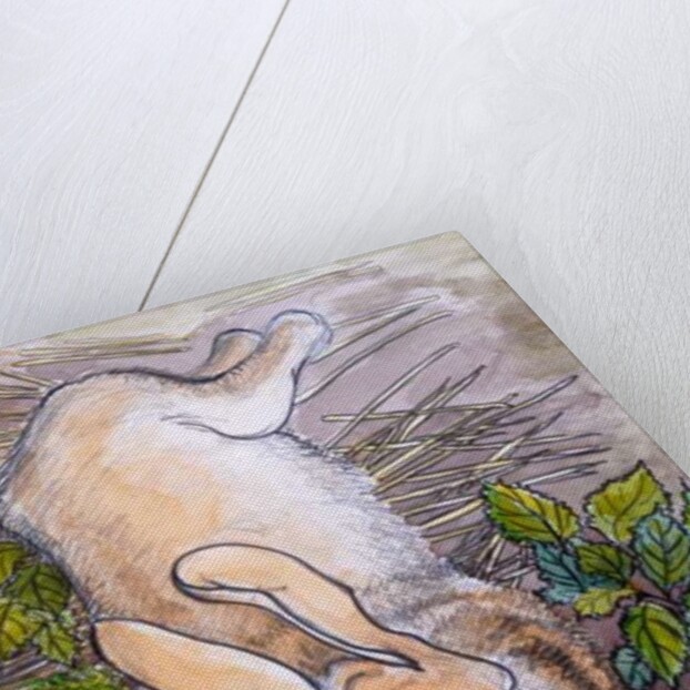 Holly, the Giant Continental Rabbit, 2002 by Joan Thewsey