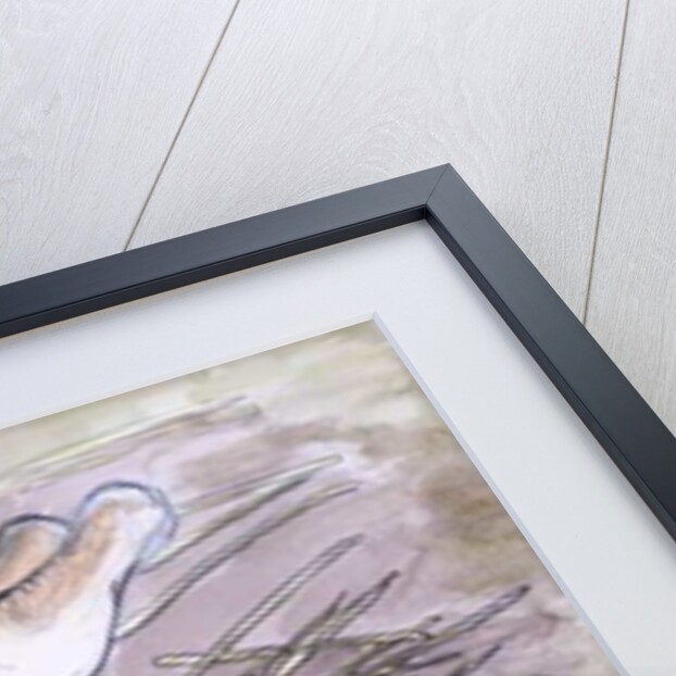 Holly, the Giant Continental Rabbit, 2002 by Joan Thewsey