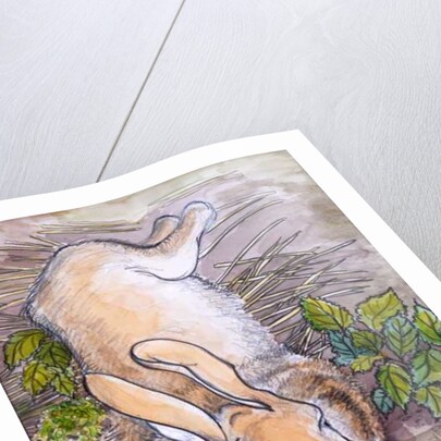 Holly, the Giant Continental Rabbit, 2002 by Joan Thewsey