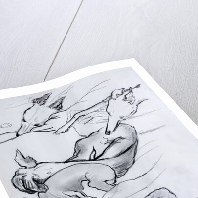Bracken, the whippet, 2000 by Joan Thewsey