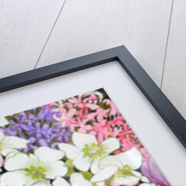 Spring Border: Hellebores, Crocus and Violets, 2000 by Joan Thewsey