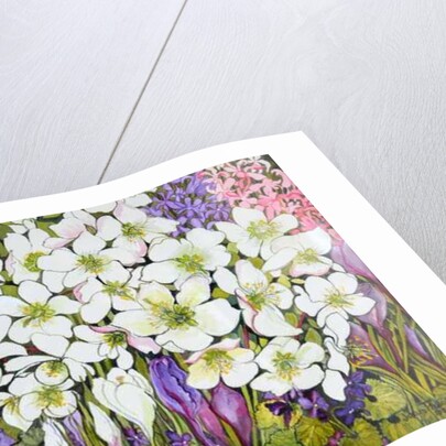 Spring Border: Hellebores, Crocus and Violets, 2000 by Joan Thewsey