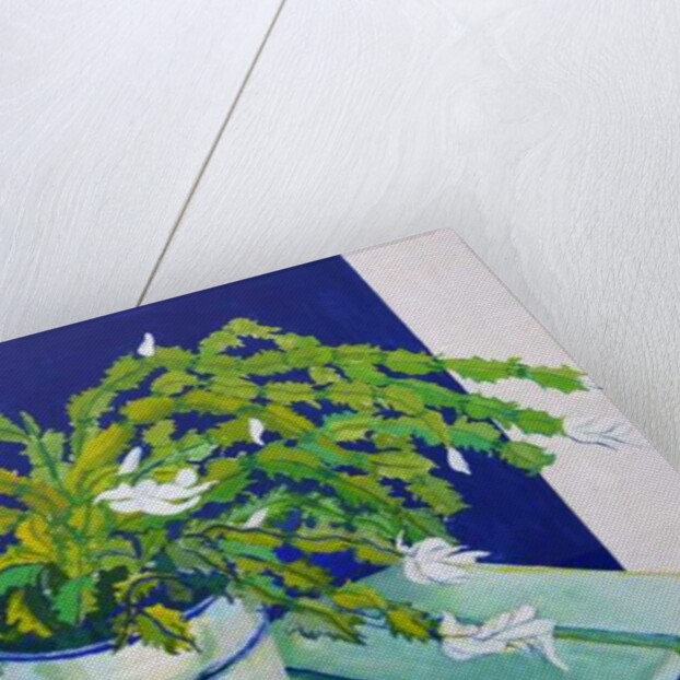 Christmas Cactus, 2000 by Joan Thewsey