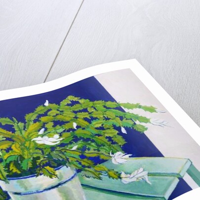 Christmas Cactus, 2000 by Joan Thewsey