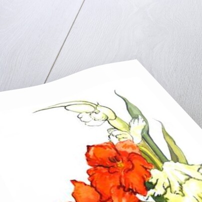 Gladioli, 2011 by Joan Thewsey