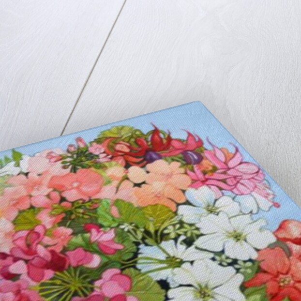 Petunias, Geraniums and Fuchsias in a Terrace Pot, 2005 by Joan Thewsey