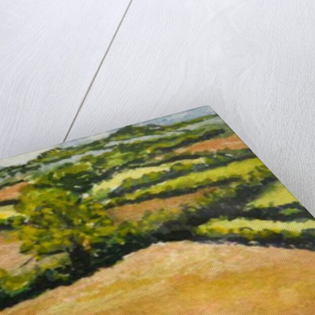 Little Suffolk Landscape, 2000 by Joan Thewsey