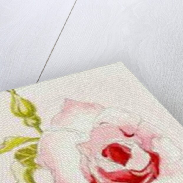 Two Queen Elizabeth Roses, 2000 by Joan Thewsey