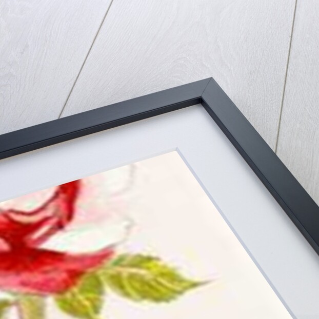 Two Queen Elizabeth Roses, 2000 by Joan Thewsey