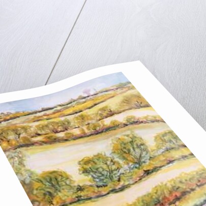 Suffolk Landscape, view from the front window, 2000 by Joan Thewsey