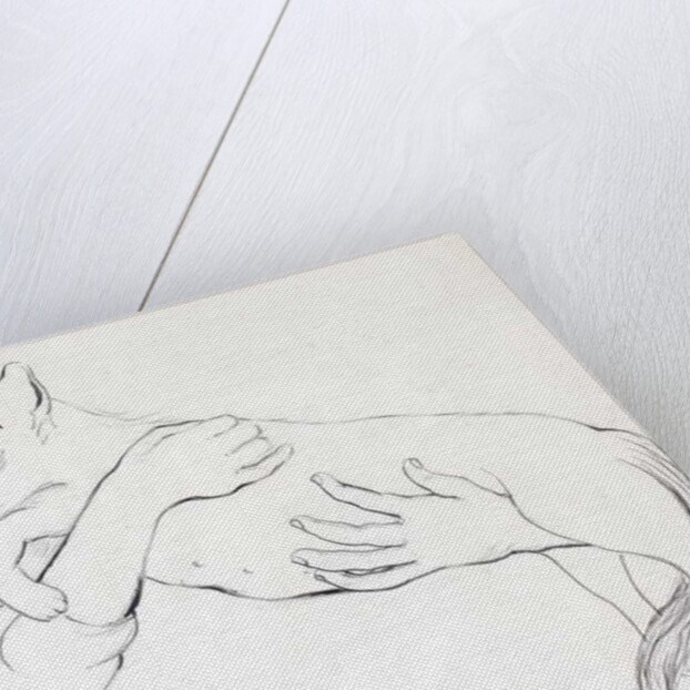 Cuddly Cat, 2000 by Joan Thewsey