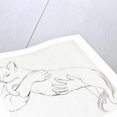 Cuddly Cat, 2000 by Joan Thewsey