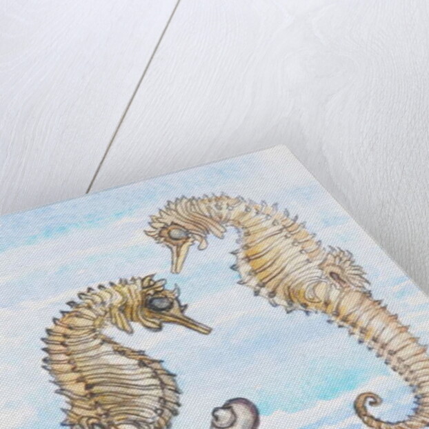 Two Seahorses, with Shells, 2000 by Joan Thewsey