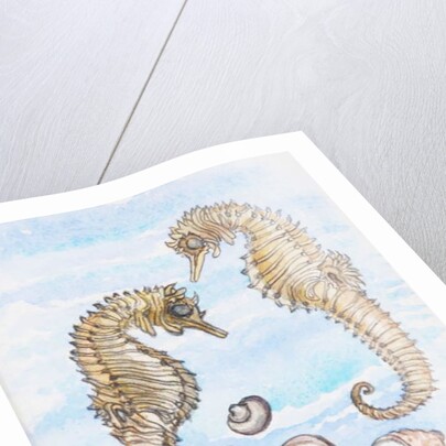 Two Seahorses, with Shells, 2000 by Joan Thewsey
