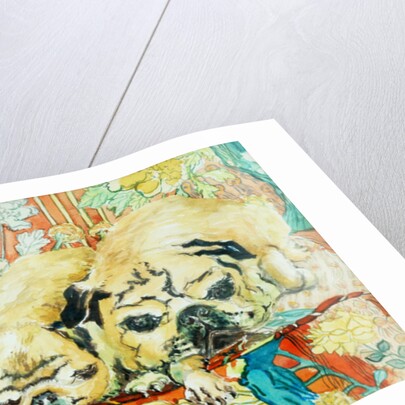 Pugs on a Chinese Print Sofa, 2000 by Joan Thewsey