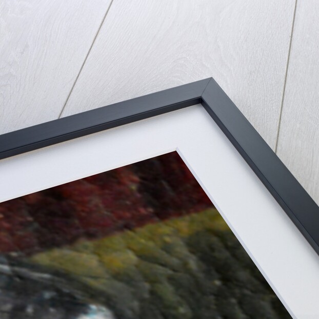 Portrait of a Woman, 1978 by Joan Thewsey