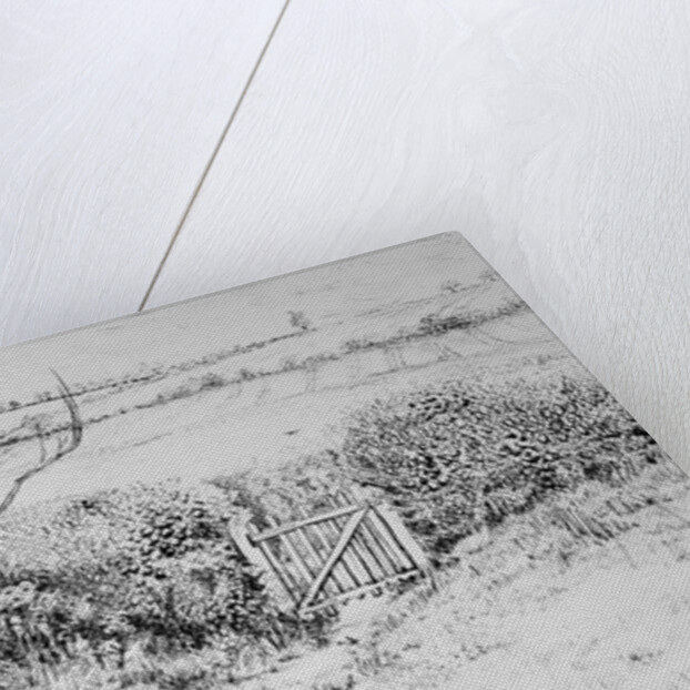 Cottage Gate and View Beyond, 2015 by Joan Thewsey