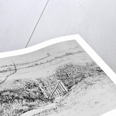 Cottage Gate and View Beyond, 2015 by Joan Thewsey
