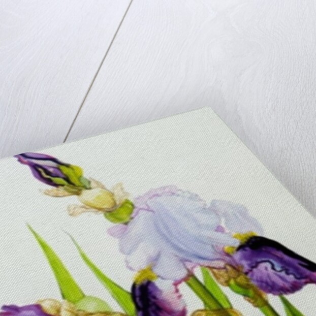Mauve and purple irises with two buds by Joan Thewsey