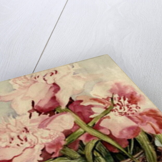 Peonies in a Cloisonne Vase by Joan Thewsey