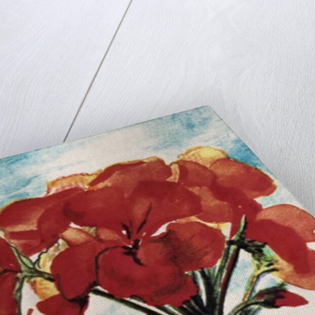 Geranium by Joan Thewsey