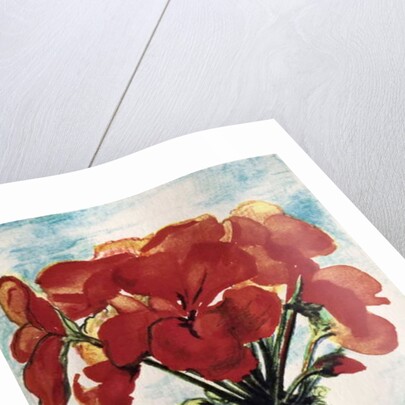 Geranium by Joan Thewsey