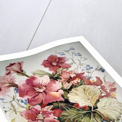 Petunias, Lobelias, Begonias and Strawberries in a Terrace Pot by Joan Thewsey