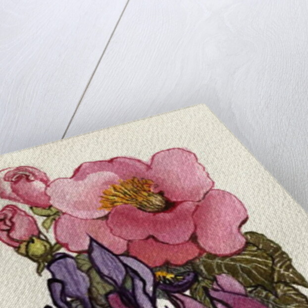 Camellia and Dutch Iris by Joan Thewsey