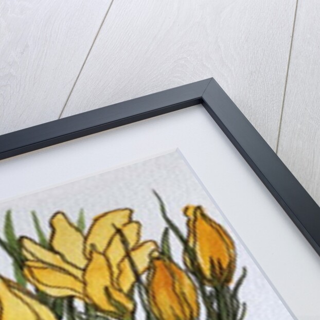 Crocus and Primroses by Joan Thewsey