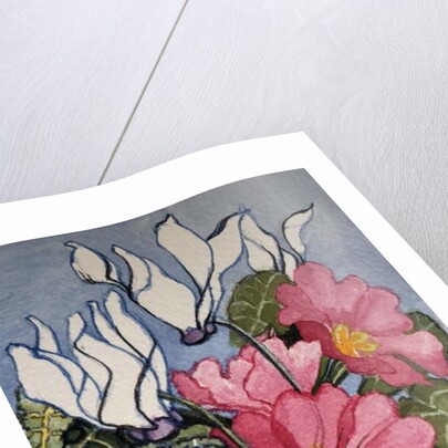 Cyclamen and Primrose by Joan Thewsey