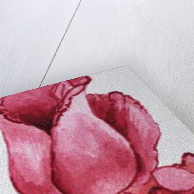 Three Red Roses by Joan Thewsey