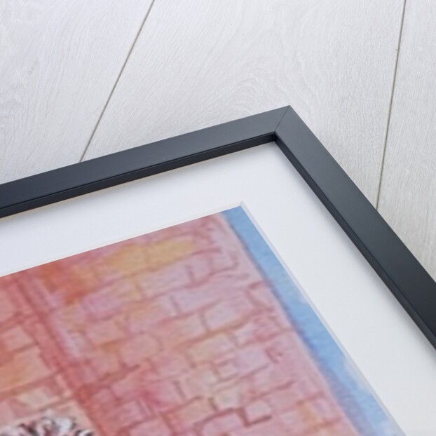 Marguerites in the Cottage Garden by Joan Thewsey