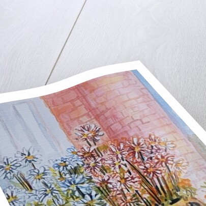 Marguerites in the Cottage Garden by Joan Thewsey